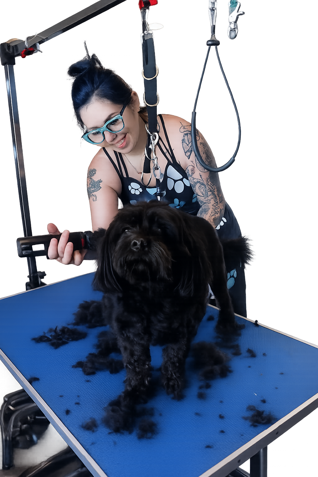 Oreana grooming a pet at Tailored Loving Care
